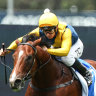 Eye of the storm: Question mark over Golden Slipper favourite