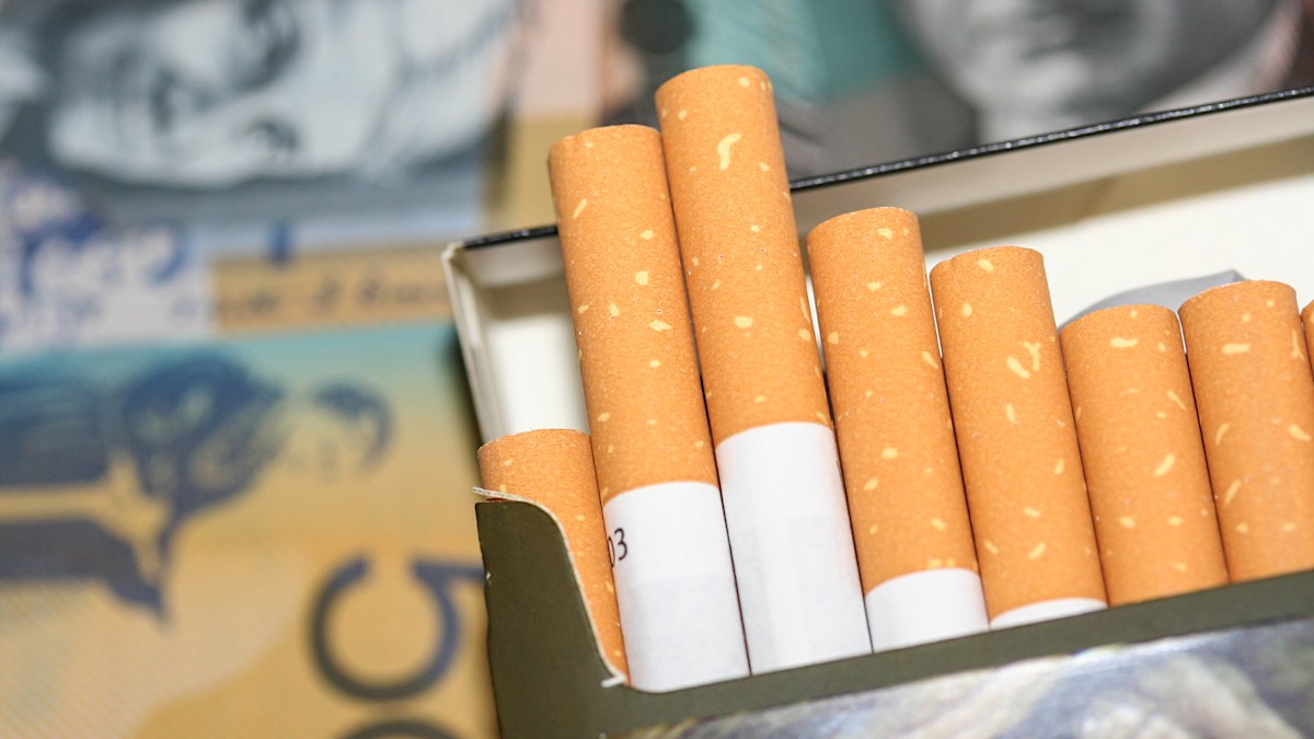 ‘All for it’: Why non-smokers are backing Pauline Hanson’s push for $22 ...