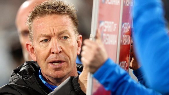 North Melbourne coach David Noble.