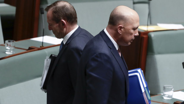Got each other's back: Backbenchers Tony Abbott and Peter Dutton. 