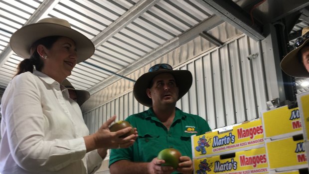 Premier Annastacia Palaszczuk visited a mango farm in Bowen on Monday