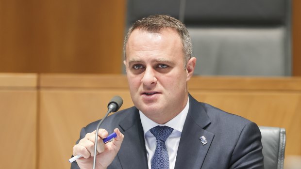 Former assistant energy and emissions reduction minister Tim Wilson. 