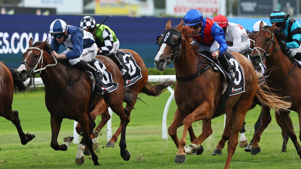 Vega Magnifico, in the red and blue colours, comes down the outside to win at Randwick on January 4.