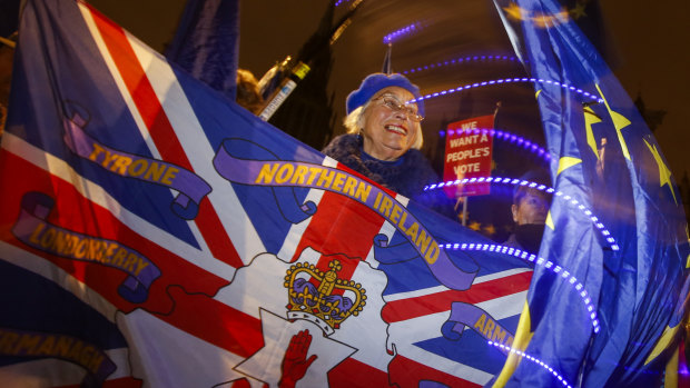 Remainers rally last week.