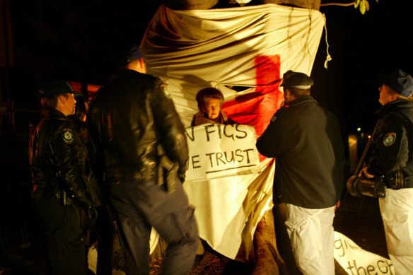 Elinor Wrobel tied herself to a fig in the Domain to prevent it being cut down.