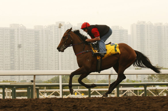 Miss Andretti with track rider Scott Magee in Hong Kong in 2007. 