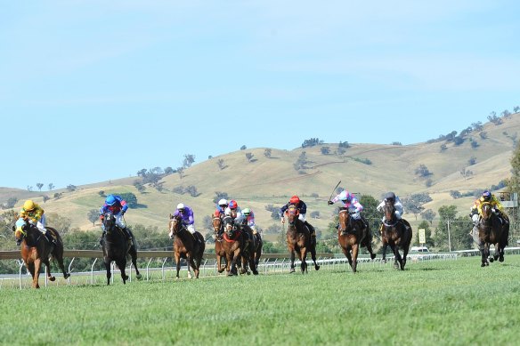 Body Bob may be headed for the Snake Gully Cup, a Big Dance eligible race for 2024, at Gundagai on November 17.