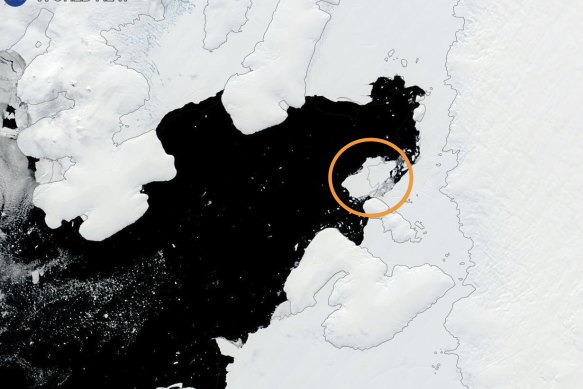 Satellite imagery showing the iceberg calved from George VI Ice Shelf in the Bellingshausen Sea in January.