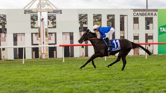 Pin Sec winning the Black Opal Stakes at Thoroughbred Park earlier this month. 