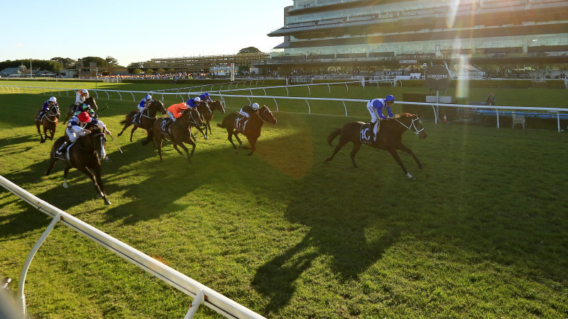 Race-by-race tips and preview for Randwick Kensington on Wednesday