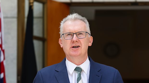 Home Affairs Minister Tony Burke. 