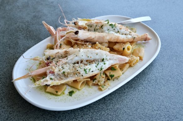 Exmouth scampi with short pasta tossed through a sauce of scampi meat, lemon juice, white wine and pasta water.