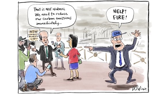 Illustration: Cathy Wilcox