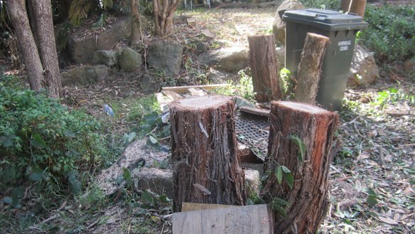 Yueling Liu was ordered to pay $83,000 after pleading guilty to illegally removing trees from her neighbour's property.