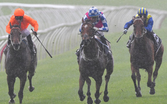 Right as rain: Hugh Bowman rides Fell Swoop (centre) to victory in the Razor Sharp Handicap on Saturday. 