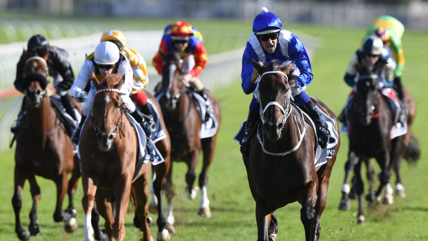 Winx, the winning horse.