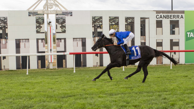 Pin Sec winning the Black Opal Stakes at Thoroughbred Park earlier this month. 