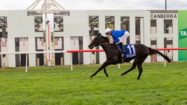 Pin Sec winning the Black Opal Stakes at Thoroughbred Park earlier this month. 