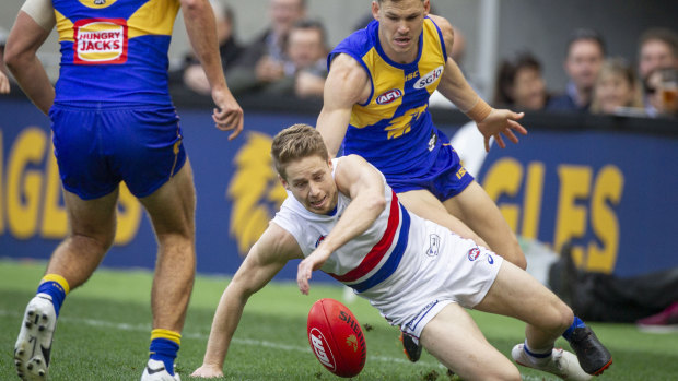 Son of a gun: Bulldogs' midfielder Lachie Hunter scrambles for possession near the boundary during his 100th AFL game.