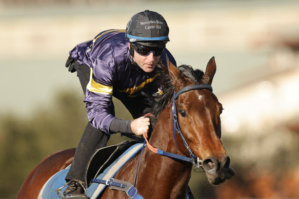 Master of Wine remains on a path towards the Caulfield Cup.
