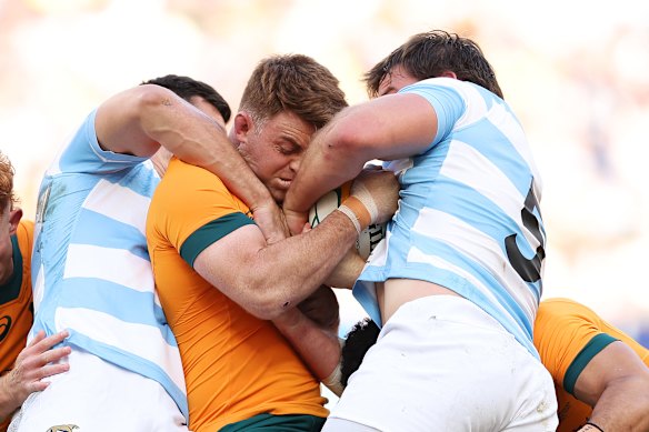The Wallabies and Argentina meet again on Sunday morning.