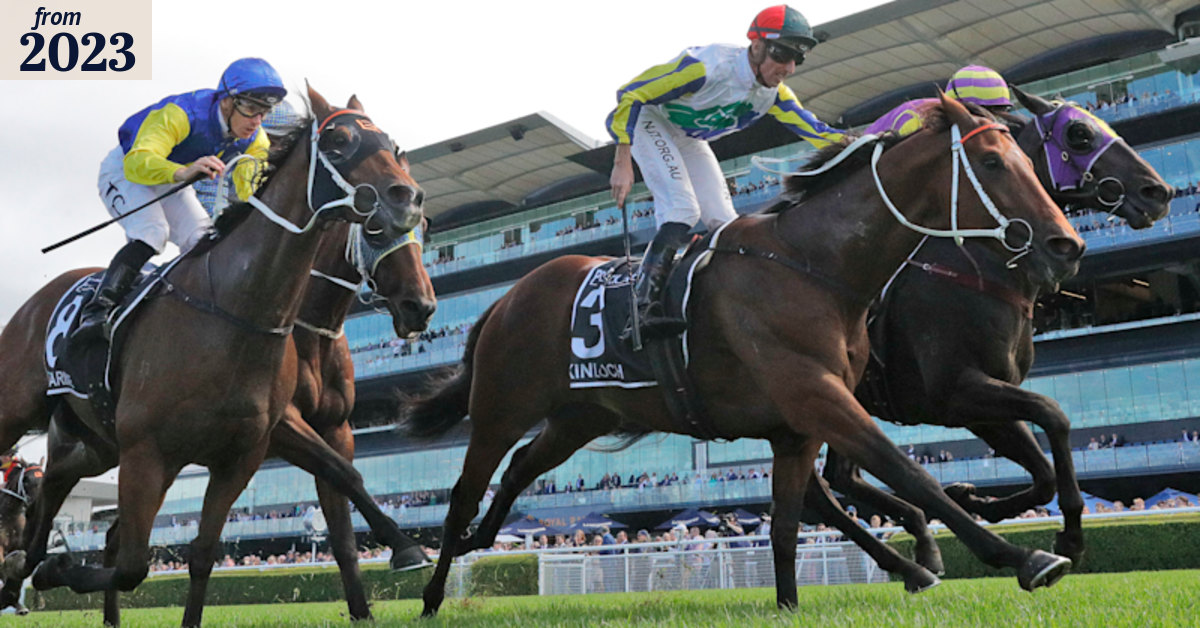 Newcastle races Thursday tips and full preview for Provincial ...