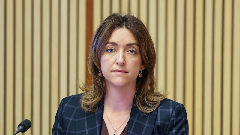 Greens and Pocock butt heads with energy giants at Perth gas tax inquiry