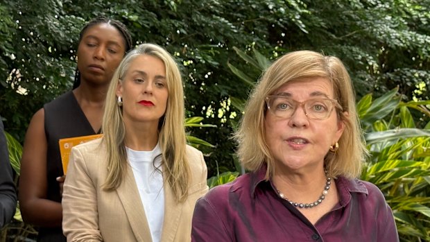 Raising Queensland lead author Professor Karen Healy AM said there was a link between neurodevelopmental delays and housing insecurity. 