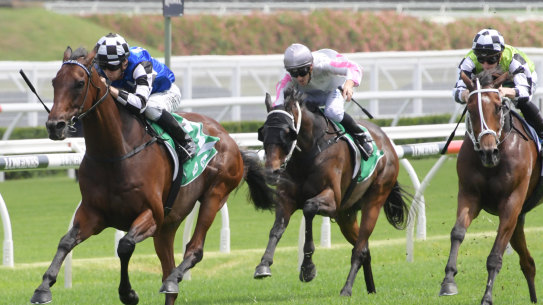 Celebration: Jockey Jason Collett rides Our Century to victory in the Christmas Cup.