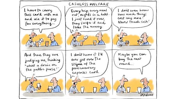 Illustration: Cathy Wilcox