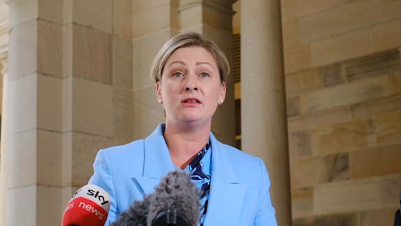 “We need to get to the bottom of … this broken child safety system,” minister Amanda Camm said outside the inquiry.