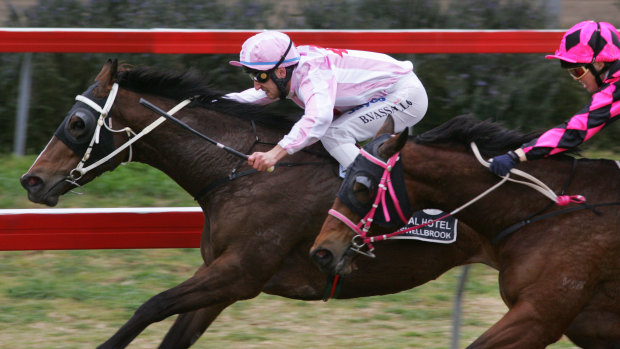 Provincial-based stables are targeting a big day at Muswellbrook on Monday.