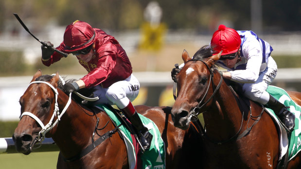 Just like dad: Zousain will be out to emulate his father in Saturday's Coolmore Stud Stakes.