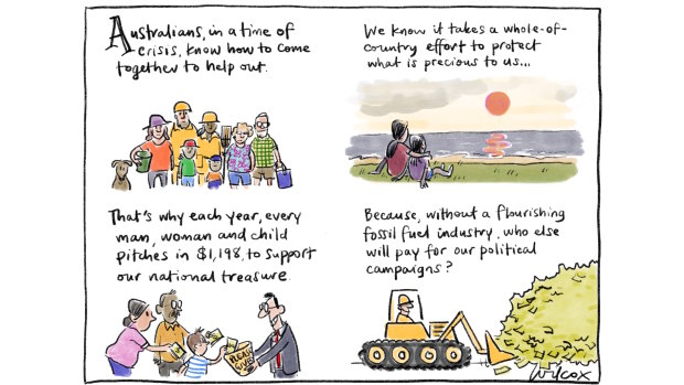 Illustration: Cathy Wilcox