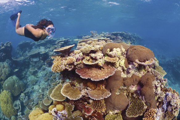 The Great Barrier Reef.