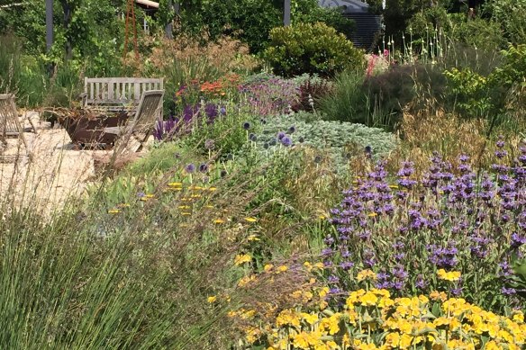Peter May’s Kyneton garden – here pictured in early December 2019 – survives only on rainfall.