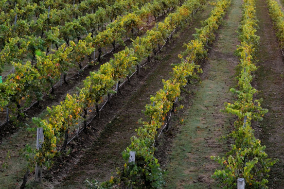The winery was found to have stolen just under 365 million litres of water