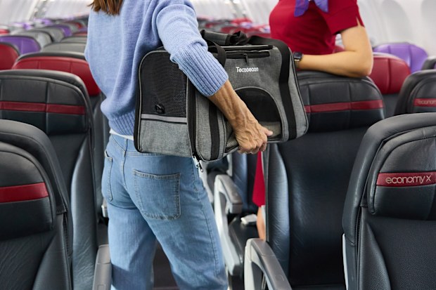 virgin Australia pet flights