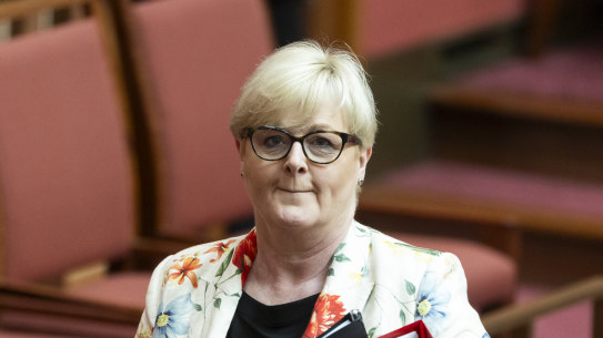 WA senator Linda Reynolds in parliament last year.