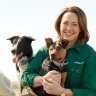 Presenter Lisa Millar with the stars of Muster Dogs.