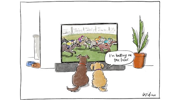 Illustration: Cathy Wilcox