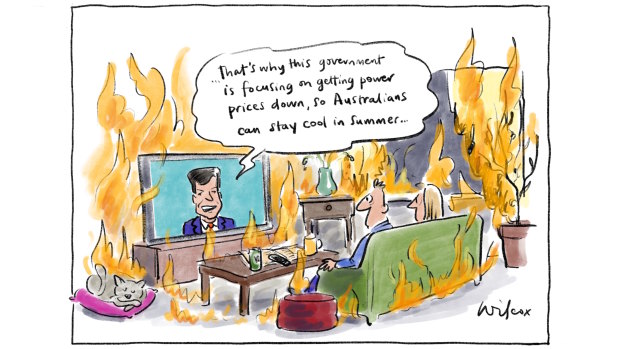 Illustration: Cathy Wilcox