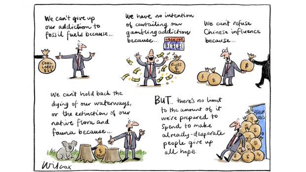 Illustration: Cathy Wilcox