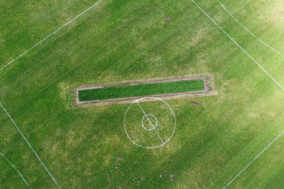 A close-up view of the cricket ground at Lalor Reserve.