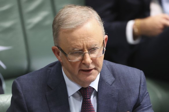 Opposition Leader Anthony Albanese says dedicated quarantine facilities would have prevented outbreaks.