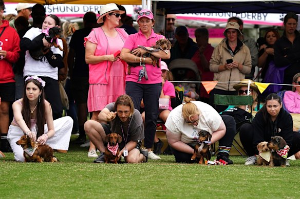 Dachshund Derby in Inverleigh.