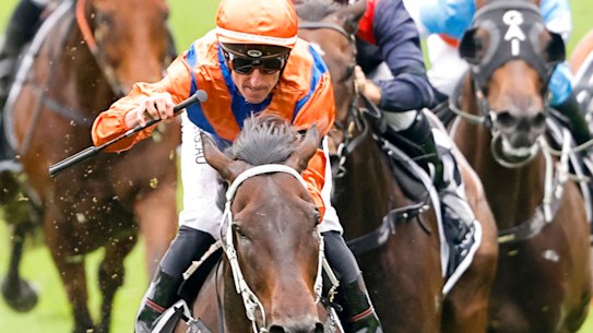 Nash Rawiller punches the air as Think It Over cruises to victory in the  Apollo Stakes.