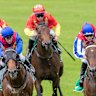 Warwick Farm is the place to be for racing on Wednesday.