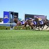 Race-by-race preview and tips for Thursday meeting at Wyong