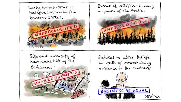 Illustration: Cathy Wilcox